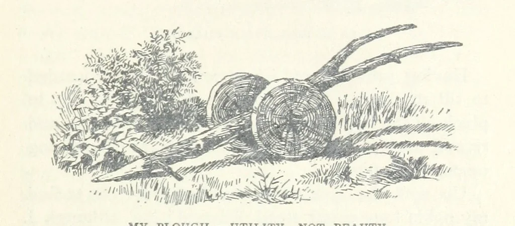 An illustration from Jethou; or, Crusoe life in the Channel Isles, 1892, leaf 61