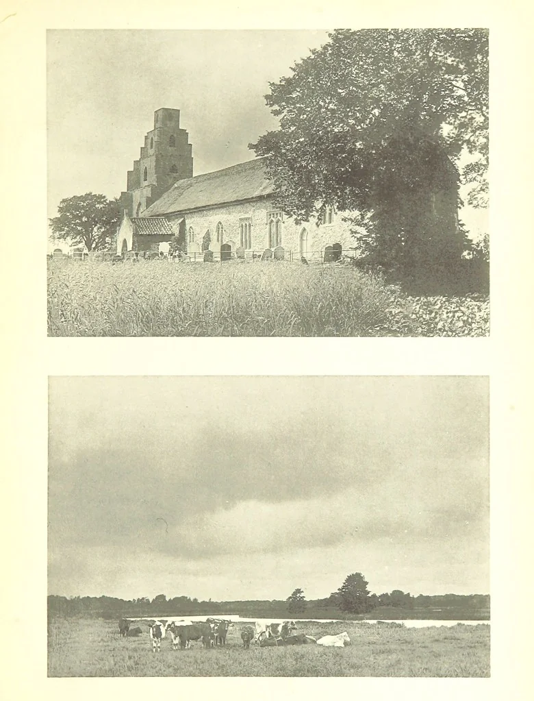 An illustration from Sun Pictures of the Norfolk Broads ... By Payne Jennings. With letterpress description by Ernest R. Suffling. (Second edition.), 1892, leaf 167