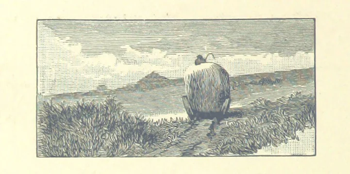 An illustration from Sun Pictures of the Norfolk Broads ... By Payne Jennings. With letterpress description by Ernest R. Suffling. (Second edition.), 1892, leaf 202