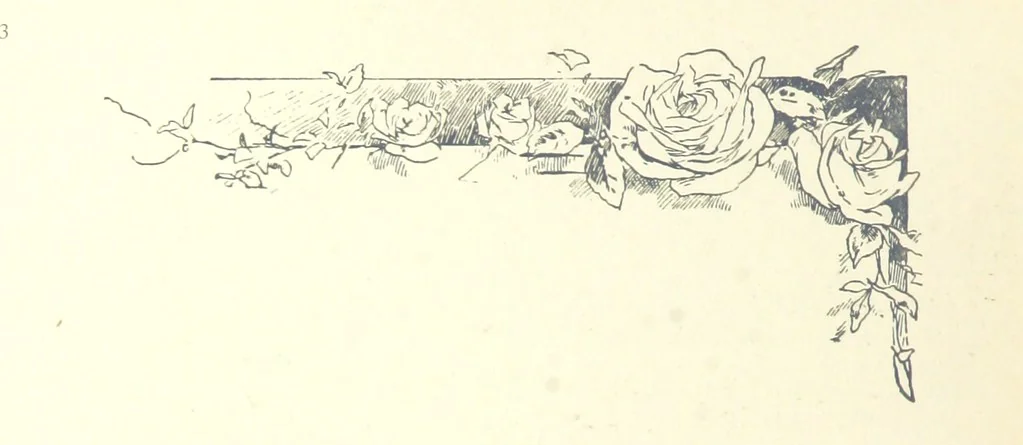 An illustration from Sun Pictures of the Norfolk Broads ... By Payne Jennings. With letterpress description by Ernest R. Suffling. (Second edition.), 1892, leaf 98