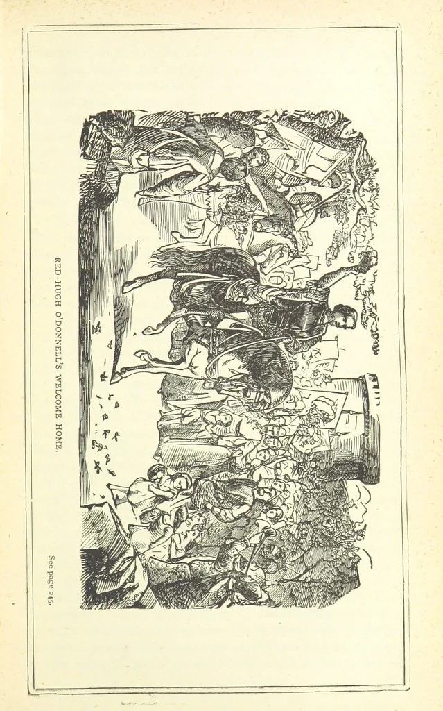 An illustration from The Story of Ireland; a narrative of Irish history, from the earliest ages to the insurrection of 1867 ... Continued to the present time by J. Luby, etc, 1885, leaf 263