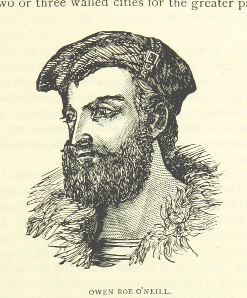 An illustration from The Story of Ireland; a narrative of Irish history, from the earliest ages to the insurrection of 1867 ... Continued to the present time by J. Luby, etc, 1885, leaf 377
