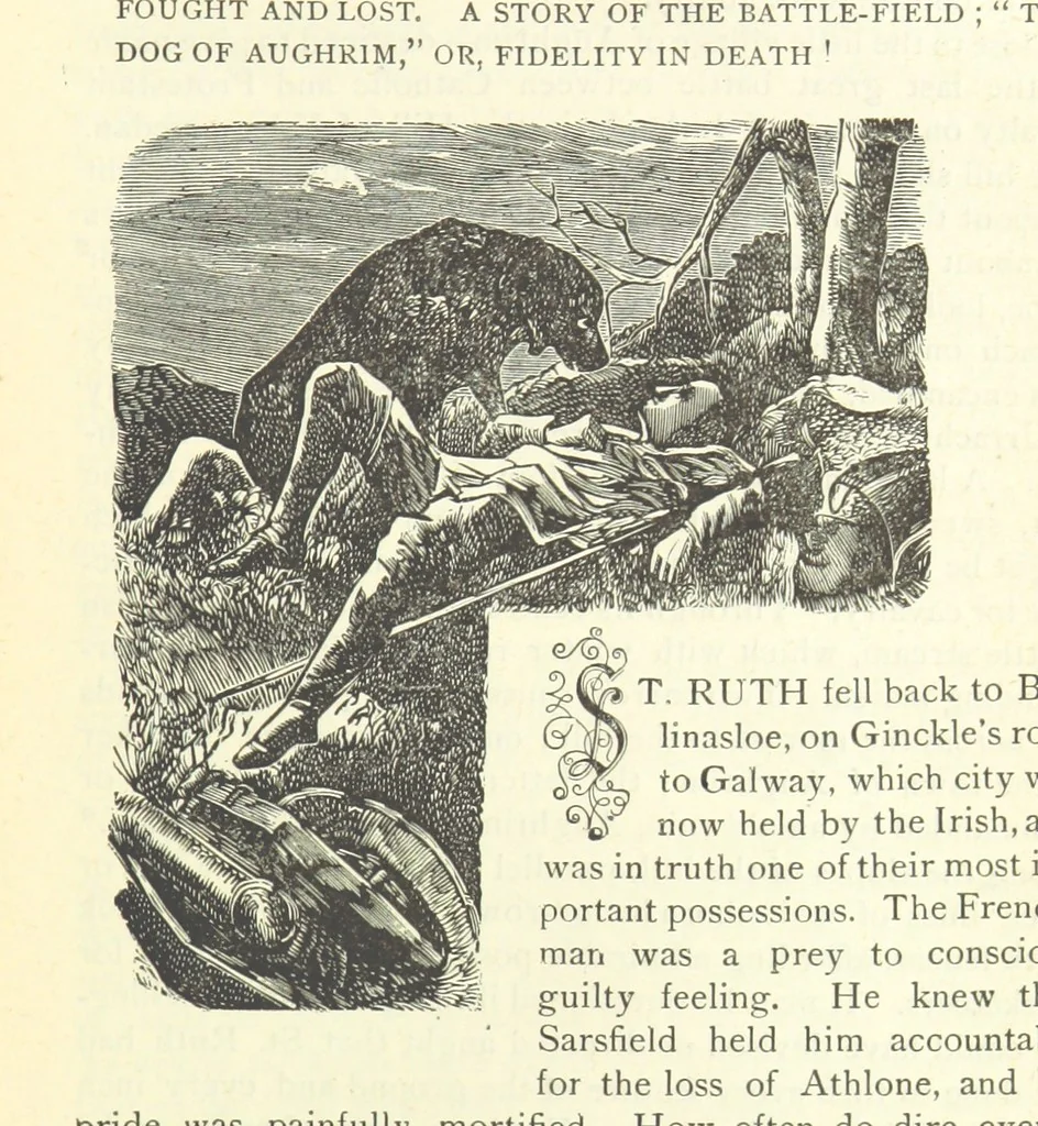 An illustration from The Story of Ireland; a narrative of Irish history, from the earliest ages to the insurrection of 1867 ... Continued to the present time by J. Luby, etc, 1885, leaf 465