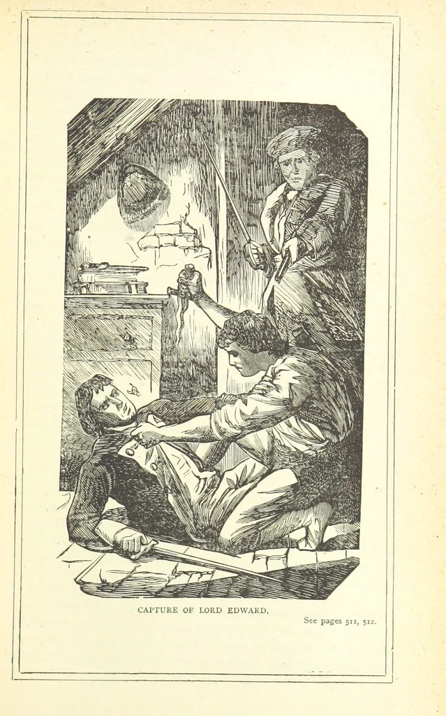 An illustration from The Story of Ireland; a narrative of Irish history, from the earliest ages to the insurrection of 1867 ... Continued to the present time by J. Luby, etc, 1885, leaf 527