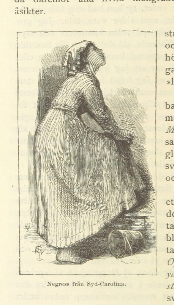 An illustration from Sjömanslif. Minnen och afventyr från skilda världsdelar ... Med 39 illustrationer, 1892, leaf 120