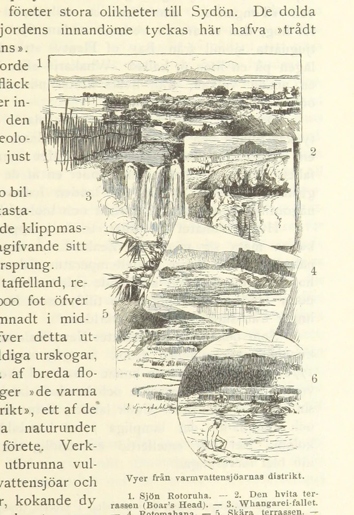 An illustration from Sjömanslif. Minnen och afventyr från skilda världsdelar ... Med 39 illustrationer, 1892, leaf 179