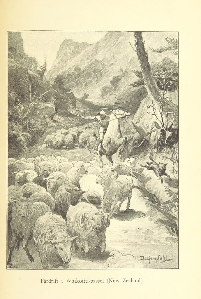 An illustration from Sjömanslif. Minnen och afventyr från skilda världsdelar ... Med 39 illustrationer, 1892, leaf 197