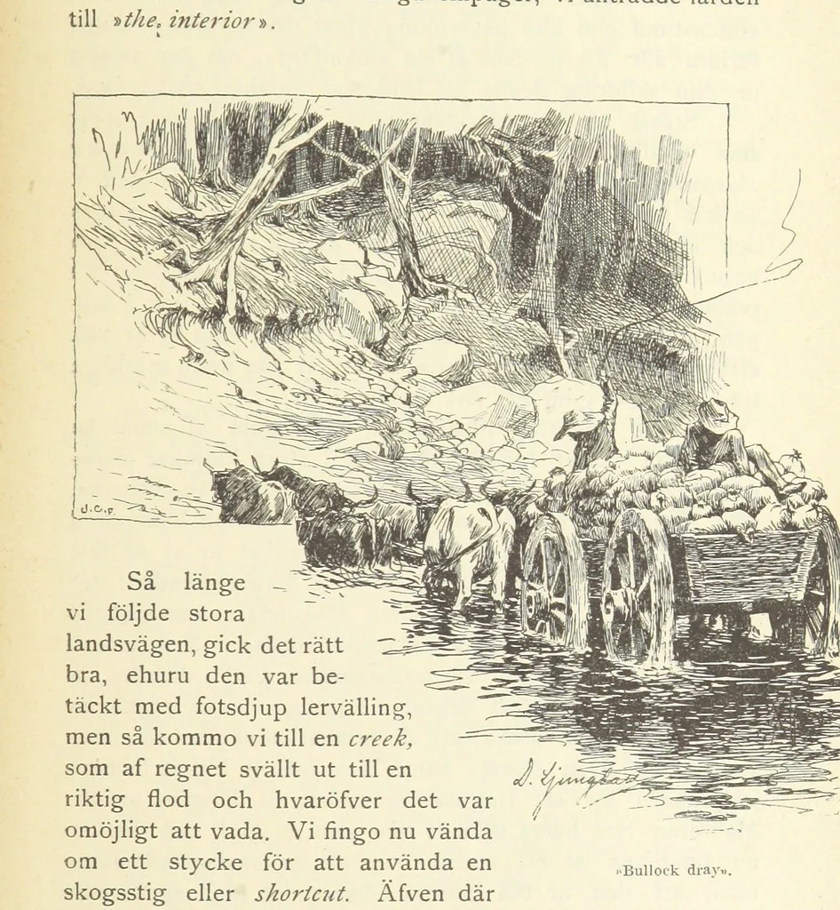 An illustration from Sjömanslif. Minnen och afventyr från skilda världsdelar ... Med 39 illustrationer, 1892, leaf 217