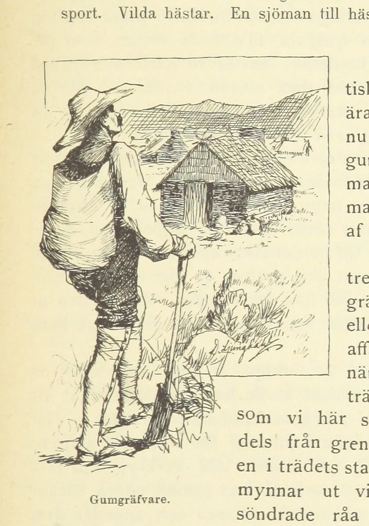 An illustration from Sjömanslif. Minnen och afventyr från skilda världsdelar ... Med 39 illustrationer, 1892, leaf 225