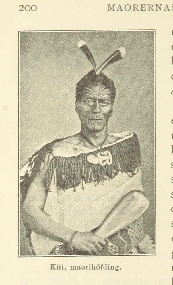 An illustration from Sjömanslif. Minnen och afventyr från skilda världsdelar ... Med 39 illustrationer, 1892, leaf 238