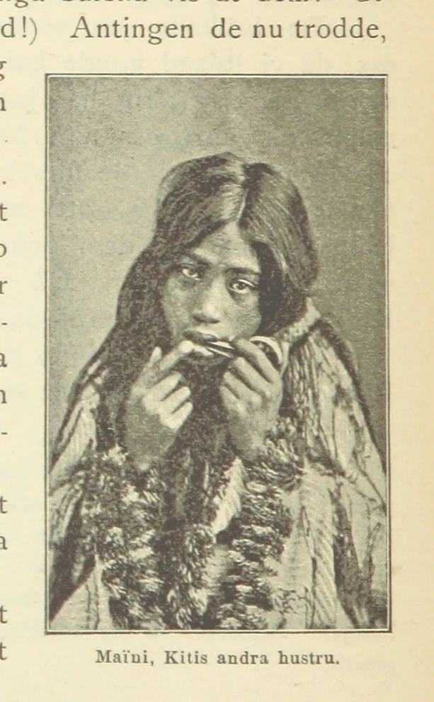 An illustration from Sjömanslif. Minnen och afventyr från skilda världsdelar ... Med 39 illustrationer, 1892, leaf 238