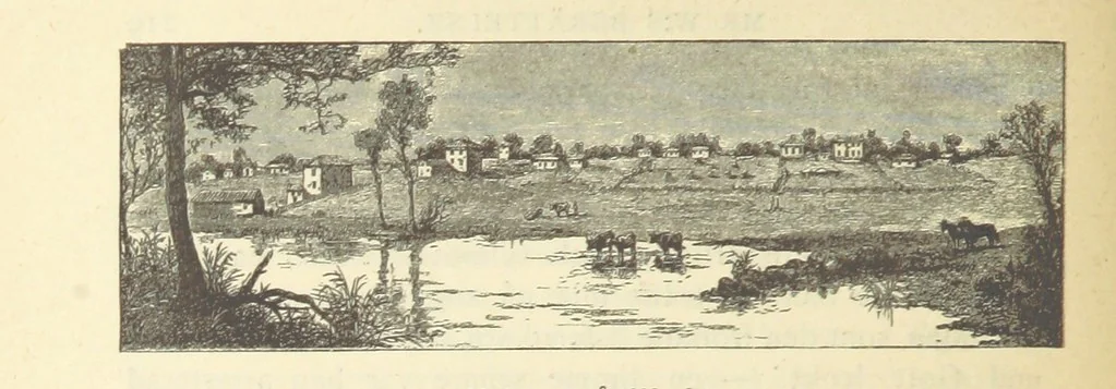 An illustration from Sjömanslif. Minnen och afventyr från skilda världsdelar ... Med 39 illustrationer, 1892, leaf 258