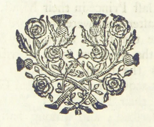 An illustration from The Works of Jonathan Swift, D.D., D.S.P.D., in eight volumes. Containing I. His Miscellanies in Prose. II. His Poetical Writings. III. The Travels of Capt. Lemuel Gulliver. IV. Papers relating to Ireland, and the Drapier's Letters. V. The Conduct of the Allies, and the Examiner. VI. The Publick Spirit of the Whiggs, &c., with Polite Conversation. VII. Letters to and from Dr. Swift. VIII. Directions to Servants, Sermons, Poems, &c, 1746, leaf 300