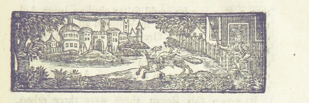 An illustration from The Works of Jonathan Swift, D.D., D.S.P.D., in eight volumes. Containing I. His Miscellanies in Prose. II. His Poetical Writings. III. The Travels of Capt. Lemuel Gulliver. IV. Papers relating to Ireland, and the Drapier's Letters. V. The Conduct of the Allies, and the Examiner. VI. The Publick Spirit of the Whiggs, &c., with Polite Conversation. VII. Letters to and from Dr. Swift. VIII. Directions to Servants, Sermons, Poems, &c, 1746, leaf 317