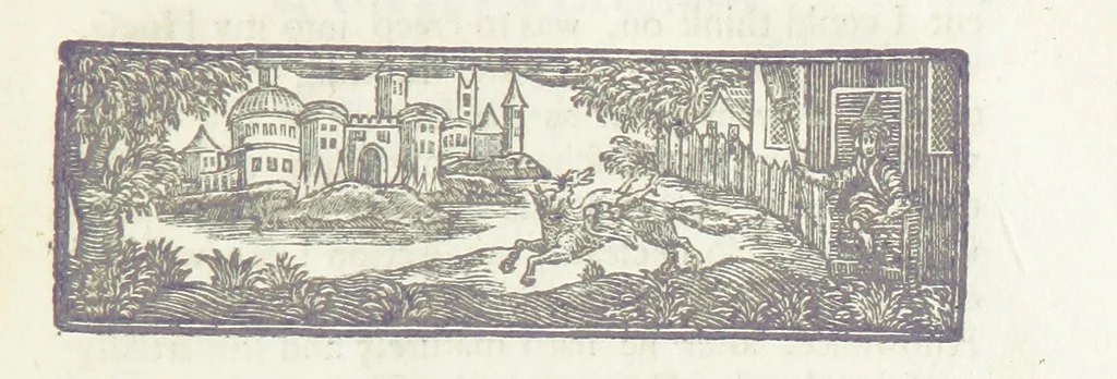 An illustration from The Works of Jonathan Swift, D.D., D.S.P.D., in eight volumes. Containing I. His Miscellanies in Prose. II. His Poetical Writings. III. The Travels of Capt. Lemuel Gulliver. IV. Papers relating to Ireland, and the Drapier's Letters. V. The Conduct of the Allies, and the Examiner. VI. The Publick Spirit of the Whiggs, &c., with Polite Conversation. VII. Letters to and from Dr. Swift. VIII. Directions to Servants, Sermons, Poems, &c, 1746, leaf 47