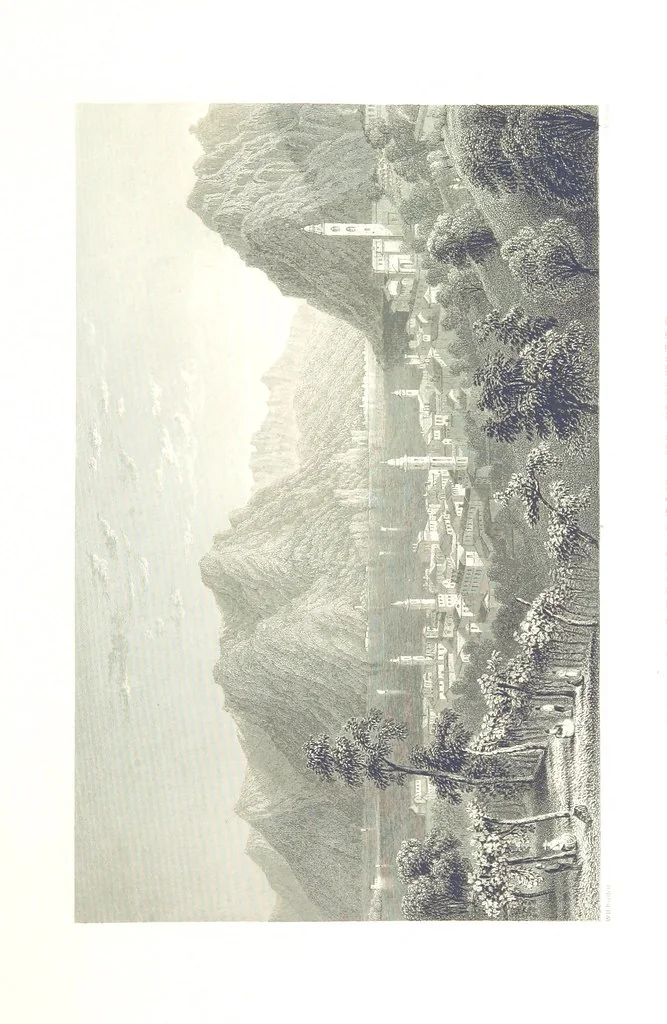 An illustration from Zwitzerland en de Alpen van Savoye, in afbeeldingen en tafereelen geschetst. [The text by N. G. van Kampen, the engravings by W. H. Bartlett, 1836, leaf 161