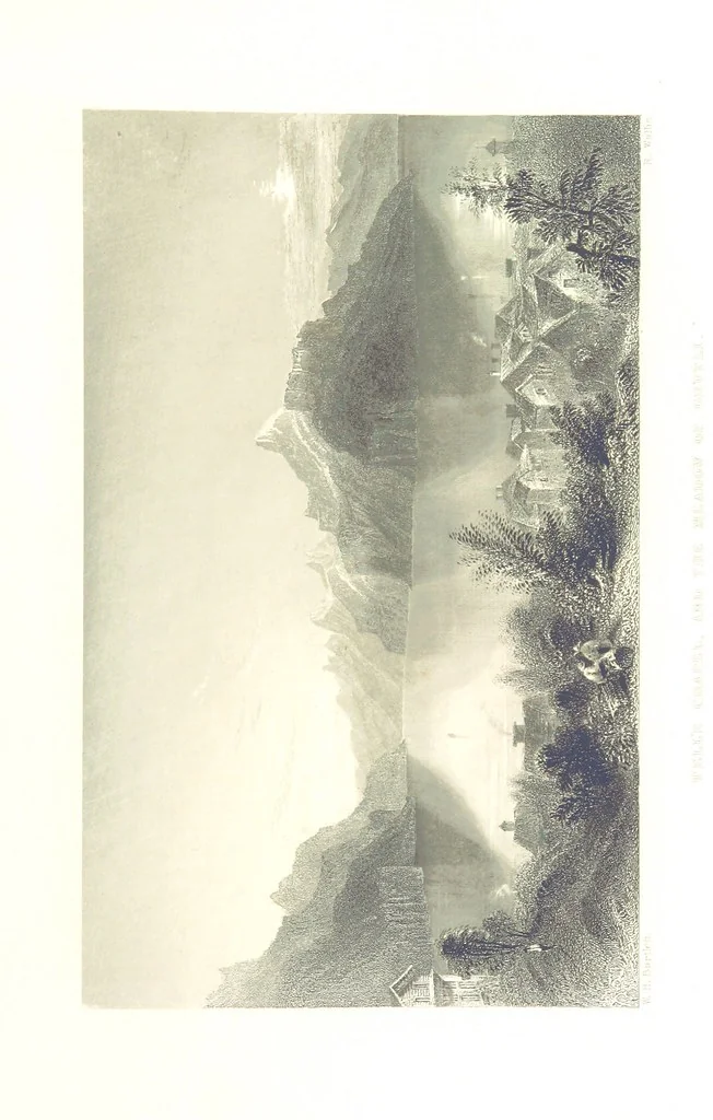 An illustration from Zwitzerland en de Alpen van Savoye, in afbeeldingen en tafereelen geschetst. [The text by N. G. van Kampen, the engravings by W. H. Bartlett, 1836, leaf 269
