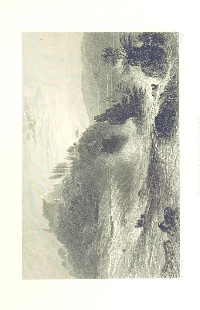An illustration from Zwitzerland en de Alpen van Savoye, in afbeeldingen en tafereelen geschetst. [The text by N. G. van Kampen, the engravings by W. H. Bartlett, 1836, leaf 357