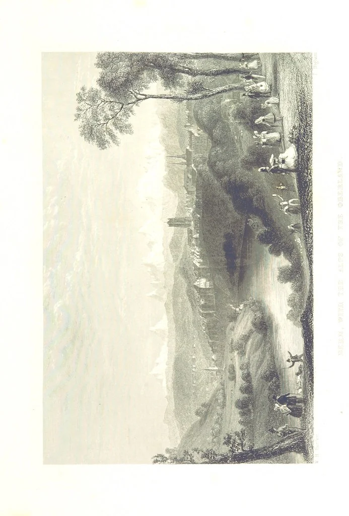 An illustration from Zwitzerland en de Alpen van Savoye, in afbeeldingen en tafereelen geschetst. [The text by N. G. van Kampen, the engravings by W. H. Bartlett, 1836, leaf 413