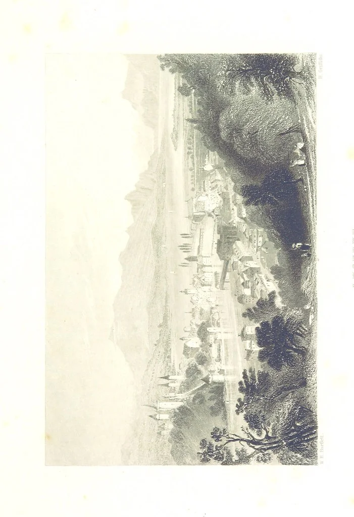 An illustration from Zwitzerland en de Alpen van Savoye, in afbeeldingen en tafereelen geschetst. [The text by N. G. van Kampen, the engravings by W. H. Bartlett, 1836, leaf 479