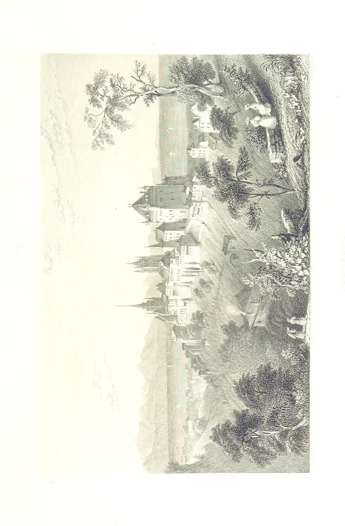 An illustration from Zwitzerland en de Alpen van Savoye, in afbeeldingen en tafereelen geschetst. [The text by N. G. van Kampen, the engravings by W. H. Bartlett, 1836, leaf 533
