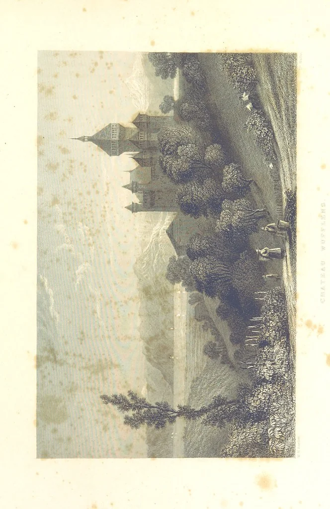 An illustration from Zwitzerland en de Alpen van Savoye, in afbeeldingen en tafereelen geschetst. [The text by N. G. van Kampen, the engravings by W. H. Bartlett, 1836, leaf 549