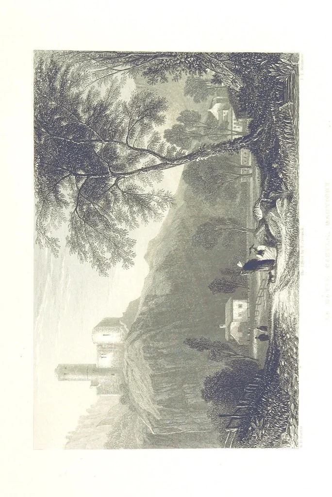 An illustration from Zwitzerland en de Alpen van Savoye, in afbeeldingen en tafereelen geschetst. [The text by N. G. van Kampen, the engravings by W. H. Bartlett, 1836, leaf 87