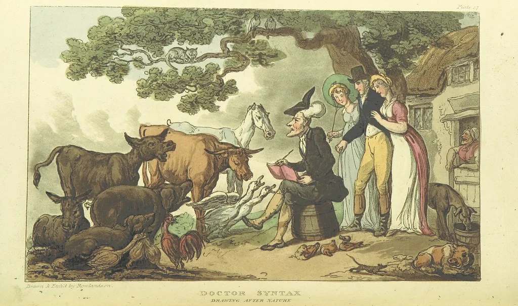 An illustration from The Tour of Doctor Syntax: in search of the picturesque ... Fifth edition, with new plates. [By William Combe, 1813, leaf 166