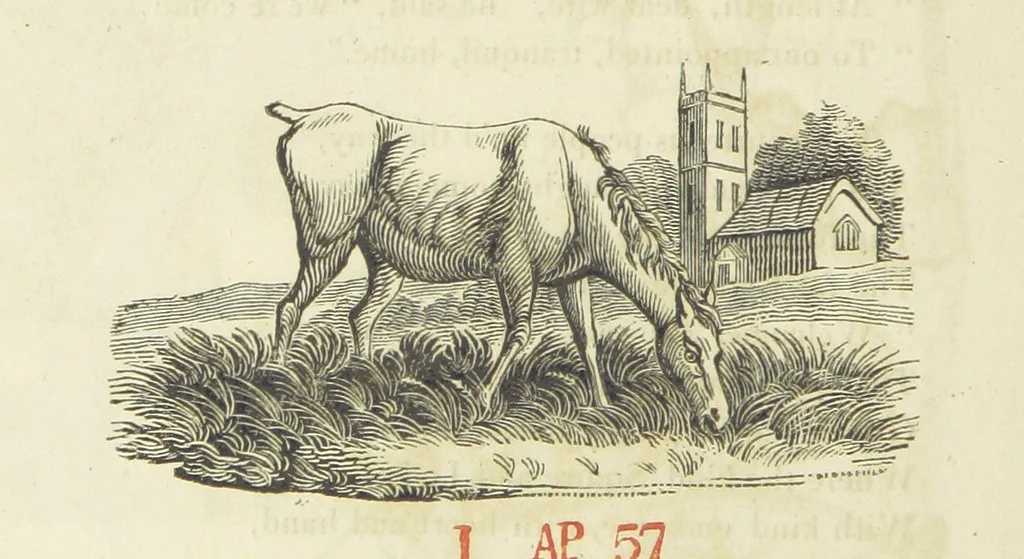 An illustration from The Tour of Doctor Syntax: in search of the picturesque ... Fifth edition, with new plates. [By William Combe, 1813, leaf 346