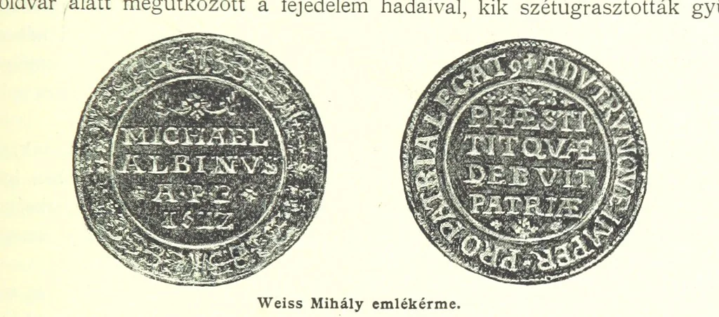 An illustration from A magyar nemzet tortenete. Szerkeszti Szilágyi S. [With maps and illustrations, 1895, leaf 131