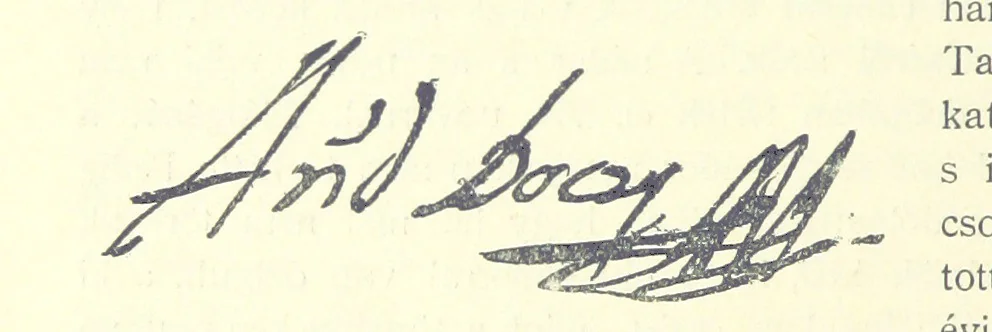 An illustration from A magyar nemzet tortenete. Szerkeszti Szilágyi S. [With maps and illustrations, 1895, leaf 152