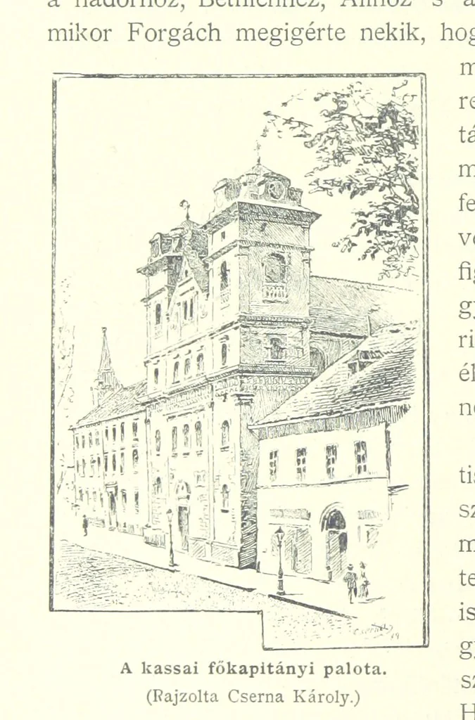 An illustration from A magyar nemzet tortenete. Szerkeszti Szilágyi S. [With maps and illustrations, 1895, leaf 192