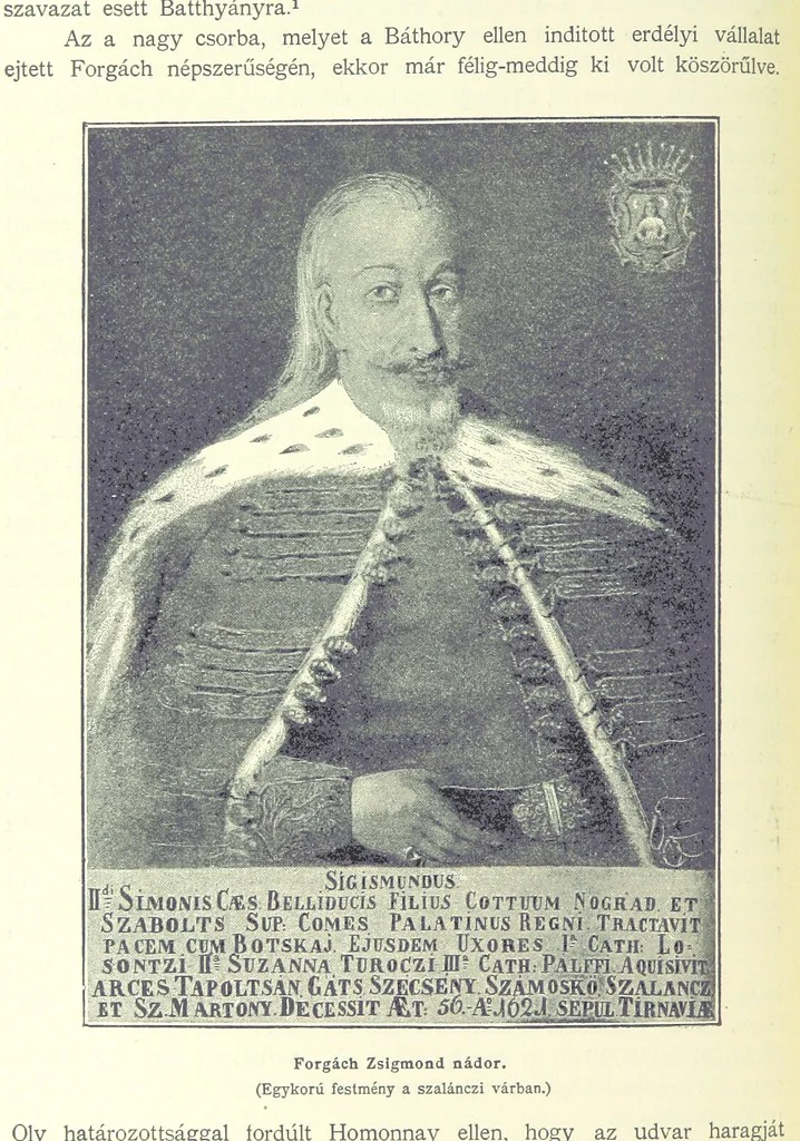 An illustration from A magyar nemzet tortenete. Szerkeszti Szilágyi S. [With maps and illustrations, 1895, leaf 238