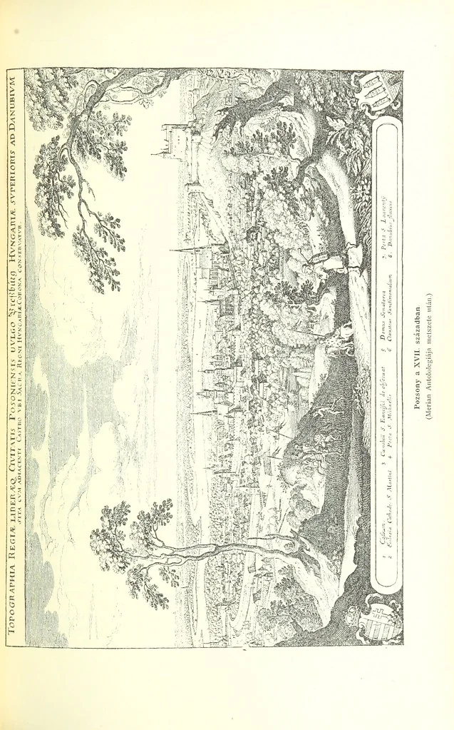 An illustration from A magyar nemzet tortenete. Szerkeszti Szilágyi S. [With maps and illustrations, 1895, leaf 301