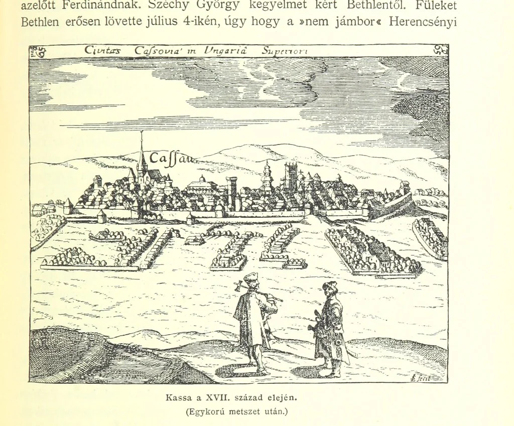 An illustration from A magyar nemzet tortenete. Szerkeszti Szilágyi S. [With maps and illustrations, 1895, leaf 369