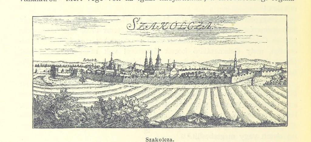 An illustration from A magyar nemzet tortenete. Szerkeszti Szilágyi S. [With maps and illustrations, 1895, leaf 378