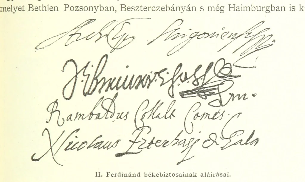 An illustration from A magyar nemzet tortenete. Szerkeszti Szilágyi S. [With maps and illustrations, 1895, leaf 393