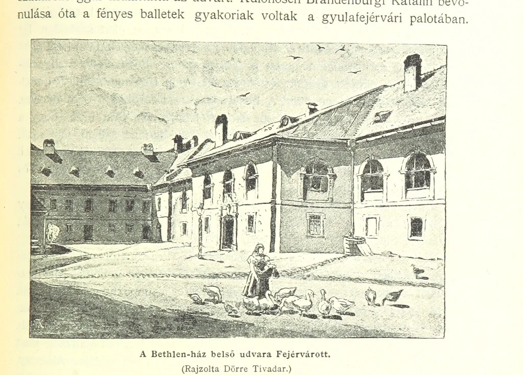 An illustration from A magyar nemzet tortenete. Szerkeszti Szilágyi S. [With maps and illustrations, 1895, leaf 505