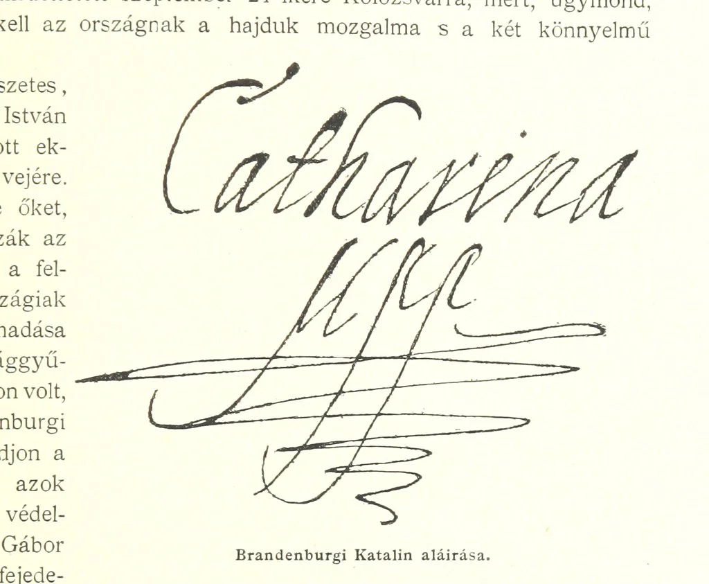An illustration from A magyar nemzet tortenete. Szerkeszti Szilágyi S. [With maps and illustrations, 1895, leaf 519