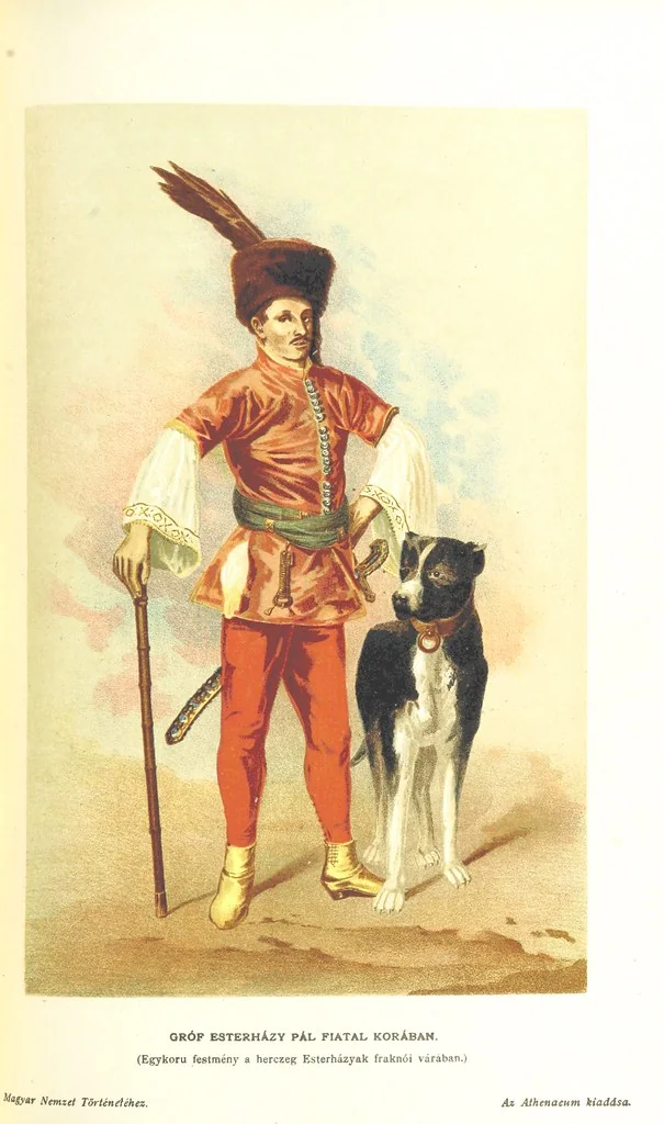 An illustration from A magyar nemzet tortenete. Szerkeszti Szilágyi S. [With maps and illustrations, 1895, leaf 527