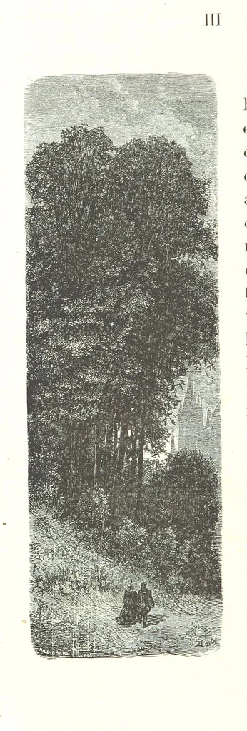 An illustration from Voyage aux Pyrénées ... Troisième édition illustrée par Gustave Doré, 1860, leaf 126