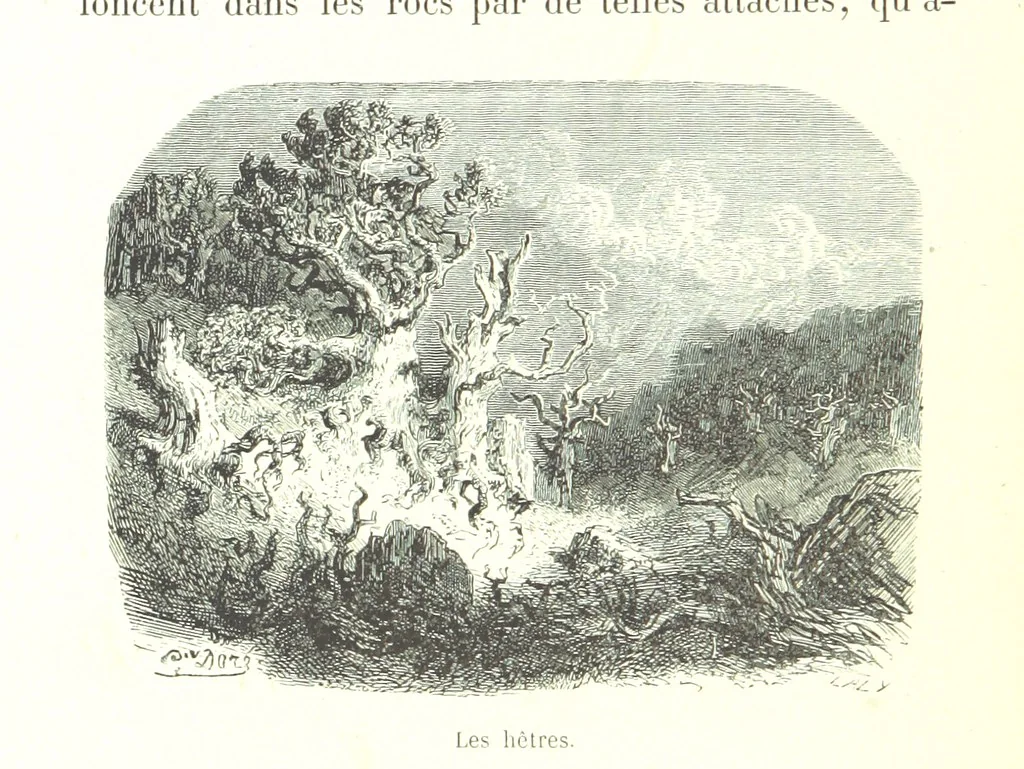 An illustration from Voyage aux Pyrénées ... Troisième édition illustrée par Gustave Doré, 1860, leaf 148