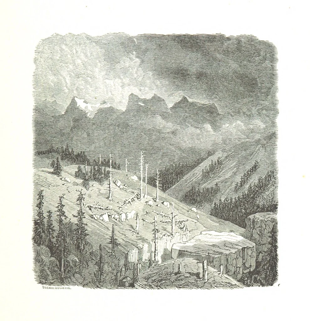 An illustration from Voyage aux Pyrénées ... Troisième édition illustrée par Gustave Doré, 1860, leaf 177