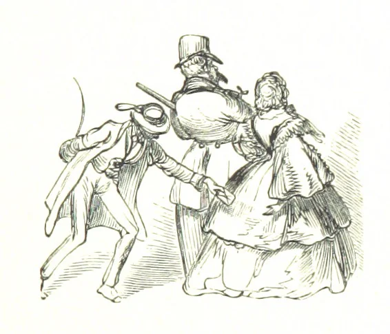 An illustration from Voyage aux Pyrénées ... Troisième édition illustrée par Gustave Doré, 1860, leaf 179