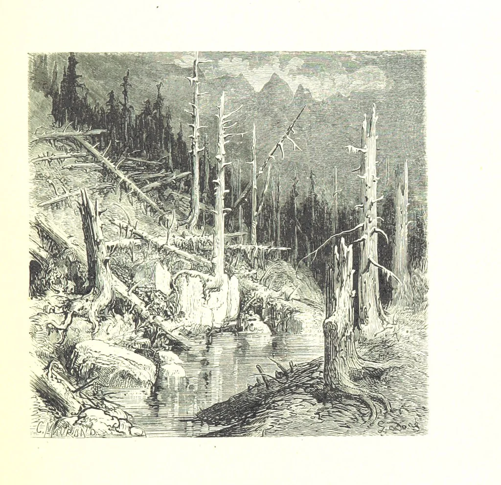 An illustration from Voyage aux Pyrénées ... Troisième édition illustrée par Gustave Doré, 1860, leaf 197