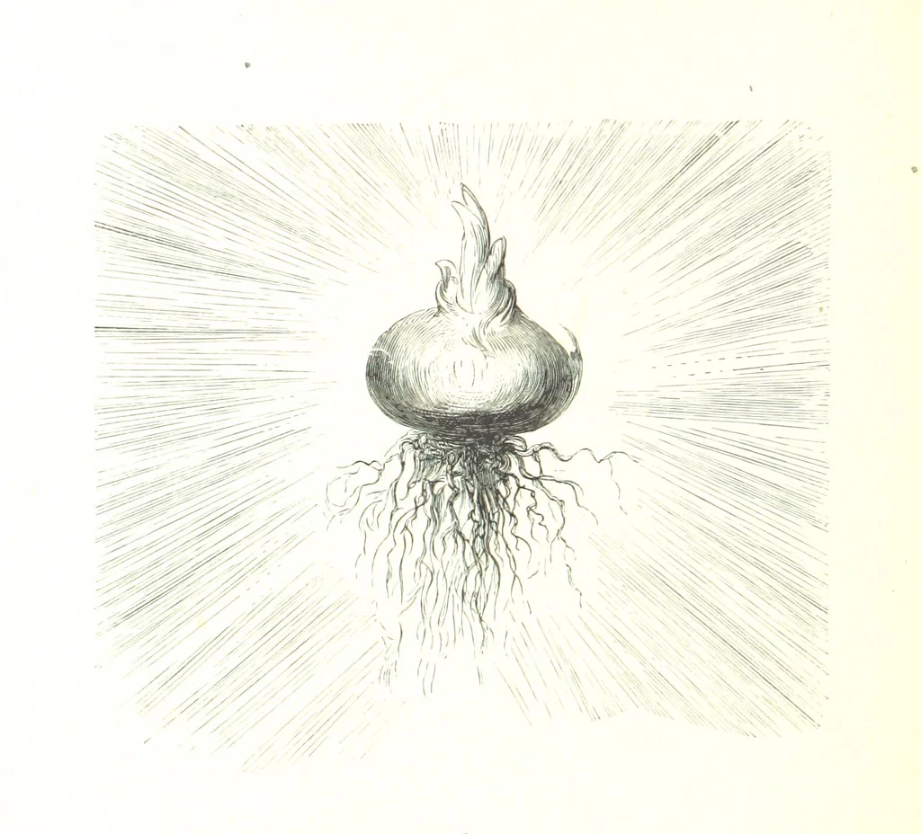An illustration from Voyage aux Pyrénées ... Troisième édition illustrée par Gustave Doré, 1860, leaf 198