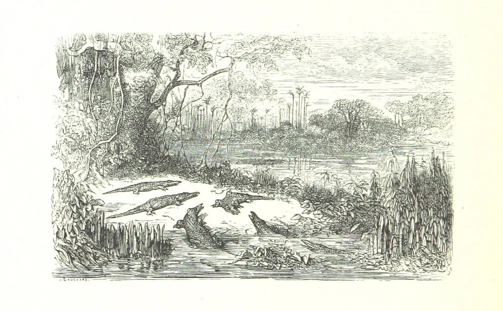 An illustration from Voyage aux Pyrénées ... Troisième édition illustrée par Gustave Doré, 1860, leaf 204