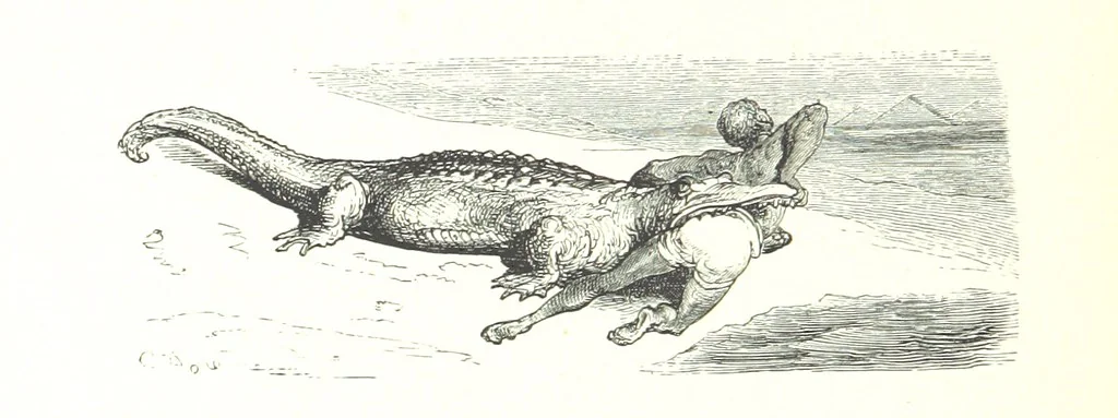 An illustration from Voyage aux Pyrénées ... Troisième édition illustrée par Gustave Doré, 1860, leaf 206