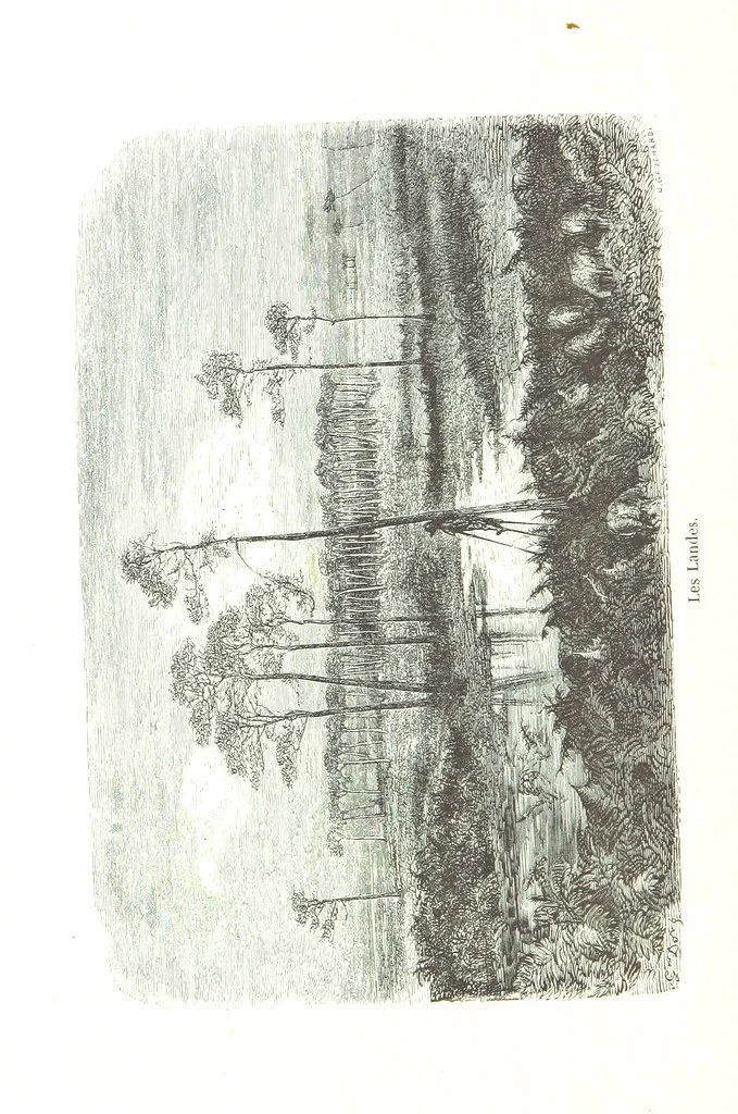 An illustration from Voyage aux Pyrénées ... Troisième édition illustrée par Gustave Doré, 1860, leaf 24