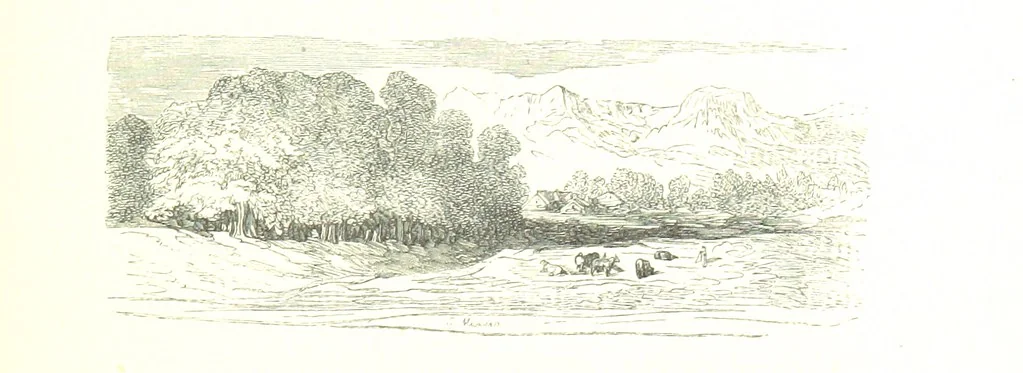 An illustration from Voyage aux Pyrénées ... Troisième édition illustrée par Gustave Doré, 1860, leaf 247